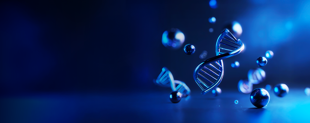 Nos valeurs : les fondements
de notre identité