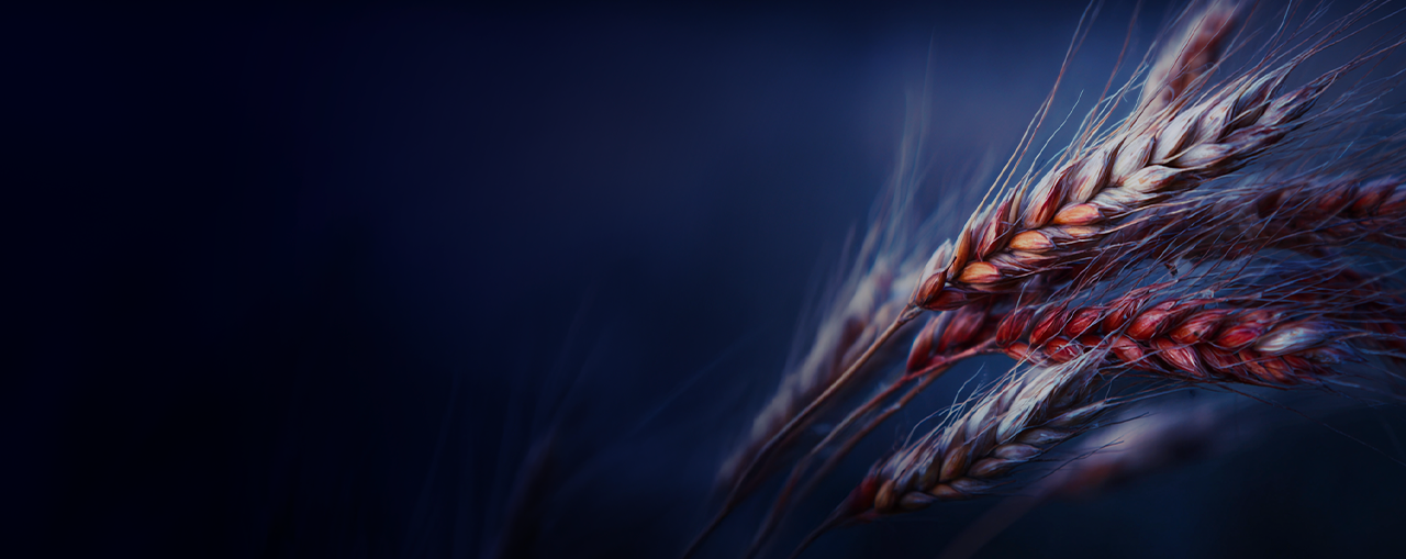 Connecter Supply Chain, Planification et Finance à l’échelle mondiale 