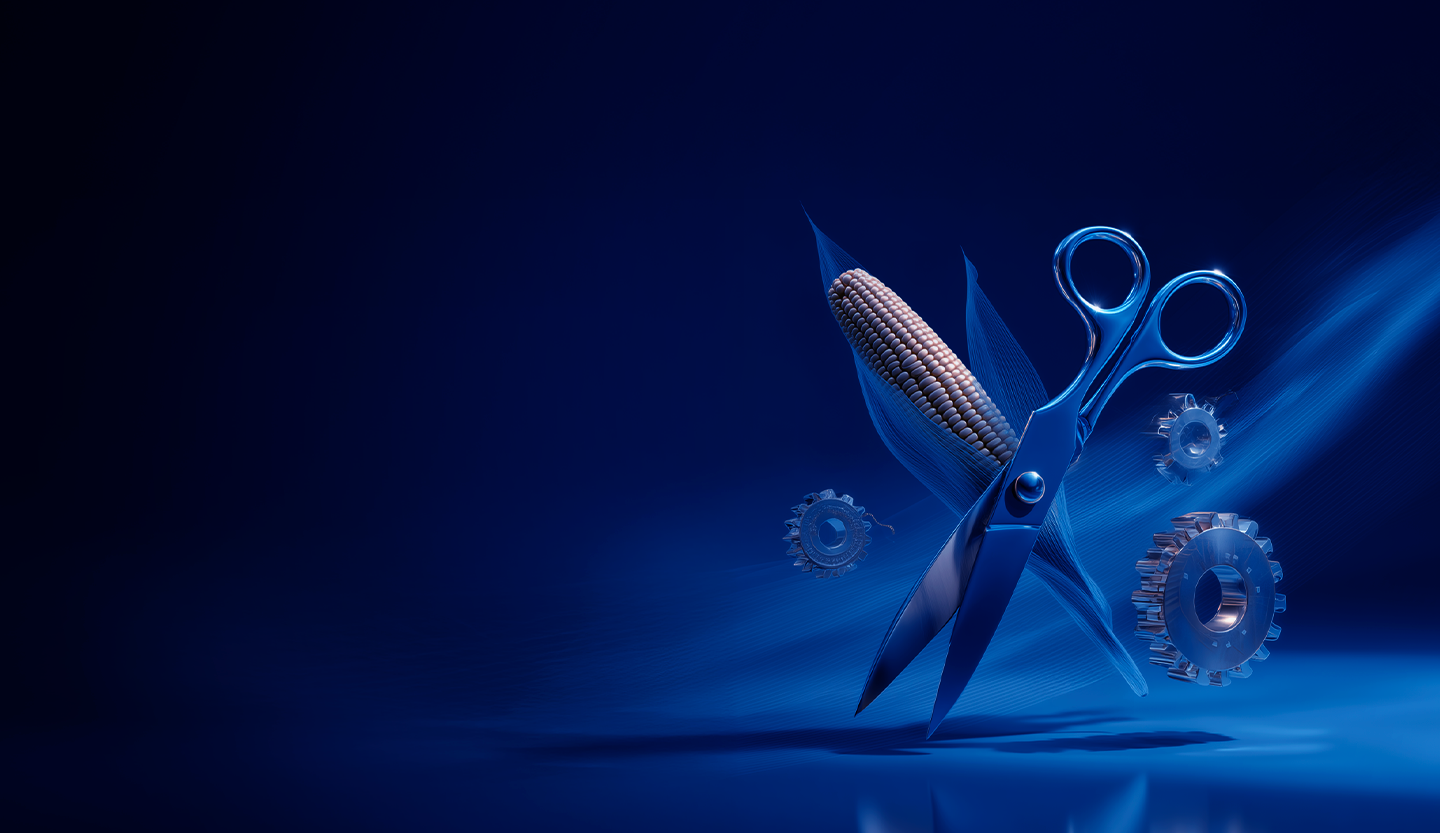 Cas clients & retours d’expérience